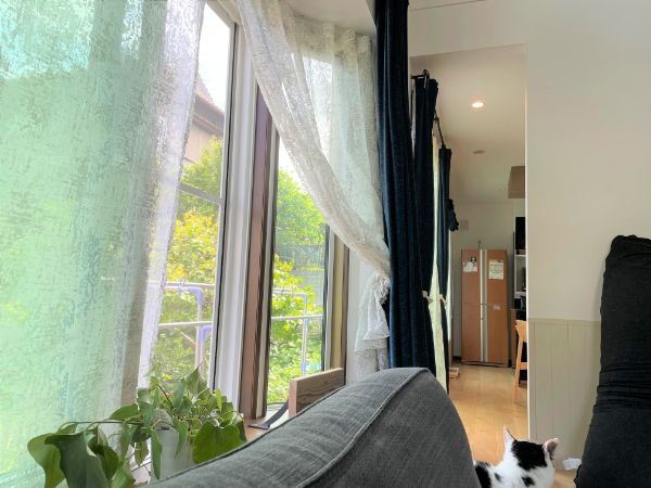 一条工務店の窓