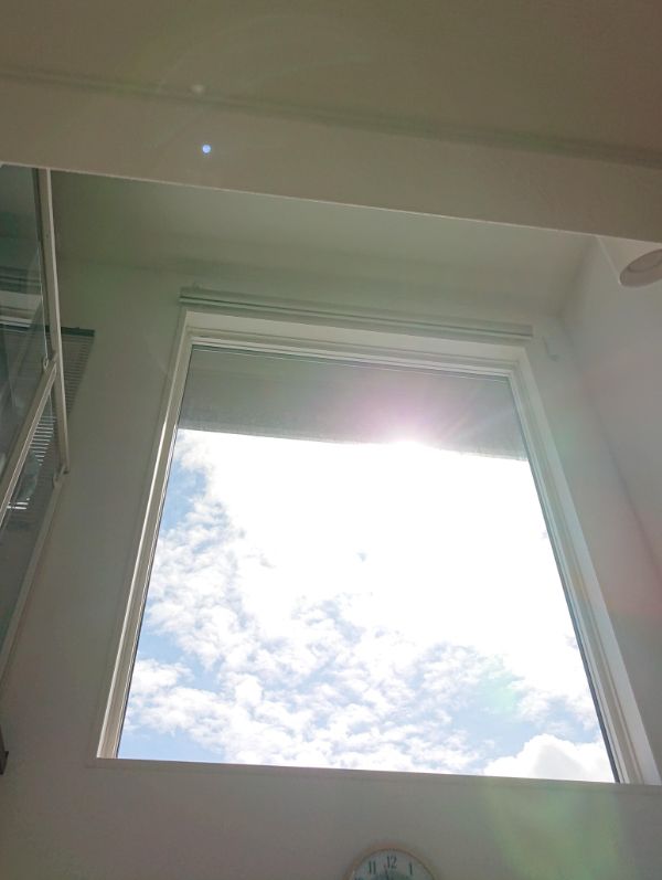 積水ハウスの窓